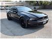 2013 Ford Mustang  (Stk: P01010) in Richmond Hill - Image 21 of 21