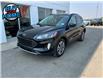 2021 Ford Escape SEL (Stk: ESC3000A) in Nisku - Image 1 of 21