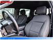 2021 Ford F-150 XLT / 4X4 / CREW CAB / BACK UP CAMERA / DIESEL (Stk: 231575A) in BRAMPTON - Image 13 of 29