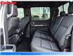 2021 Ford F-150 XLT / 4X4 / CREW CAB / BACK UP CAMERA / DIESEL (Stk: 231575A) in BRAMPTON - Image 17 of 29