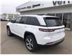 2023 Jeep Grand Cherokee 4xe Base (Stk: 23GH3980) in Vermilion - Image 3 of 24