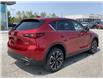 2023 Mazda CX-5 GS (Stk: NM3769) in Chatham - Image 5 of 22