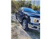2020 Ford F-150 XLT (Stk: 22067A) in La Malbaie - Image 2 of 5