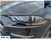 2022 Ford Mustang  (Stk: TLR522) in Sarnia - Image 8 of 25