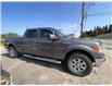 2014 Ford F150 SUPERCREW  (Stk: 8197B) in Maniwaki - Image 2 of 12