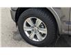 2020 Ford F-150 Platinum (Stk: 247762) in Claresholm - Image 46 of 50