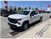 2023 Chevrolet Silverado 1500 Work Truck (Stk: 23-482) in Listowel - Image 3 of 19