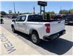 2023 Chevrolet Silverado 1500 Work Truck (Stk: 23-482) in Listowel - Image 4 of 19
