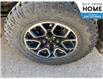2021 Ford F-150  (Stk: F52YD2) in Roblin - Image 6 of 24