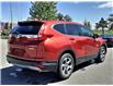 2019 Honda CR-V EX (Stk: 17-P6829) in Ottawa - Image 5 of 25