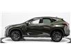 2024 Lexus NX 350h Base (Stk: 016675) in Brampton - Image 8 of 31