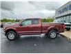 2017 Ford F-150  (Stk: F425A) in Miramichi - Image 2 of 12
