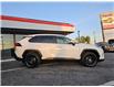 2019 Toyota RAV4 LE (Stk: 2305158) in Waterloo - Image 6 of 21