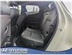 2023 Hyundai Santa Cruz Trend (Stk: E6381) in Edmonton - Image 16 of 22