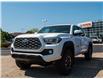 2023 Toyota Tacoma Base (Stk: 24343) in Kingston - Image 1 of 9