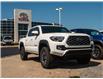 2023 Toyota Tacoma Base (Stk: 24343) in Kingston - Image 3 of 9