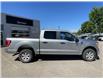 2021 Ford F-150  (Stk: P365) in Pembroke - Image 8 of 14