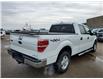 2013 Ford F-150  (Stk: 93061B) in Vegreville - Image 6 of 15