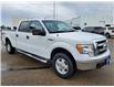 2013 Ford F-150  (Stk: 93061B) in Vegreville - Image 8 of 15