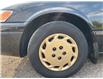 1999 Toyota Camry LE (Stk: 10946) in Brampton - Image 2 of 10