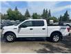 2017 Ford F-150 XLT (Stk: 50193) in Calgary - Image 1 of 11