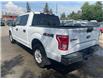 2017 Ford F-150 XLT (Stk: 50193) in Calgary - Image 8 of 11