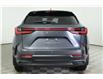 2024 Lexus NX 350  (Stk: 15102386) in Richmond Hill - Image 6 of 29