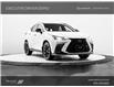 2023 Lexus NX 350 Base (Stk: C028698) in Brampton - Image 1 of 20