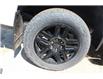 2023 Chevrolet Silverado 1500 LT Trail Boss (Stk: 23061) in Swan River - Image 10 of 27