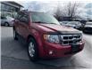 2008 Ford Escape XLT (Stk: 211573J) in Surrey - Image 6 of 15