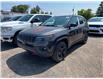 2023 Jeep Compass Trailhawk (Stk: 534037) in Orillia - Image 1 of 5