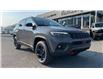 2023 Jeep Compass Trailhawk (Stk: TP133) in Kamloops - Image 9 of 27