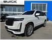 2023 Cadillac Escalade Premium Luxury (Stk: N16242) in Newmarket - Image 1 of 13