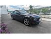 2014 Ford Mustang GT (Stk: 6809) in Golden - Image 5 of 22