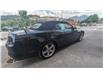 2014 Ford Mustang GT (Stk: 6809) in Golden - Image 6 of 22