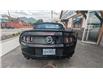 2014 Ford Mustang GT (Stk: 6809) in Golden - Image 7 of 22