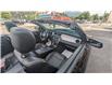 2014 Ford Mustang GT (Stk: 6809) in Golden - Image 19 of 22