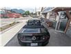 2014 Ford Mustang GT (Stk: 6809) in Golden - Image 21 of 22