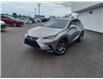 2020 Lexus NX 300 Base (Stk: 2391252) in Regina - Image 1 of 35