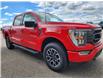 2023 Ford F-150 XLT (Stk: 23T3063) in Pincher Creek - Image 8 of 13