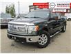 2013 Ford F-150 XLT (Stk: 230304A) in Saskatoon - Image 1 of 13