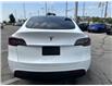 2023 Tesla Model Y Standard Range (Stk: P1611) in Newmarket - Image 11 of 31