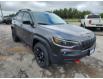 2022 Jeep Cherokee Trailhawk (Stk: 528663) in Orillia - Image 9 of 20