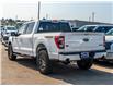2023 Ford F-150 Tremor (Stk: P-1509) in Calgary - Image 3 of 24
