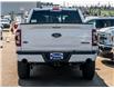 2023 Ford F-150 Tremor (Stk: P-1509) in Calgary - Image 6 of 24