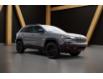 2023 Jeep Cherokee Trailhawk (Stk: P0162) in Québec - Image 6 of 19