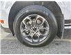 2022 Ford Maverick XLT (Stk: PP249) in Kamloops - Image 10 of 30
