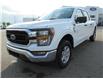 2023 Ford F-150 XLT (Stk: 23-0265) in Prince Albert - Image 1 of 13