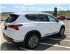 2023 Hyundai Santa Fe HEV Luxury (Stk: 232003A) in Grand Falls - Image 3 of 15