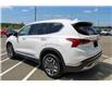2023 Hyundai Santa Fe HEV Luxury (Stk: 232003A) in Grand Falls - Image 4 of 15